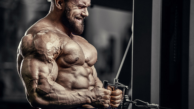 9 Tips for a Clean Bulking Cycle, Nutrition