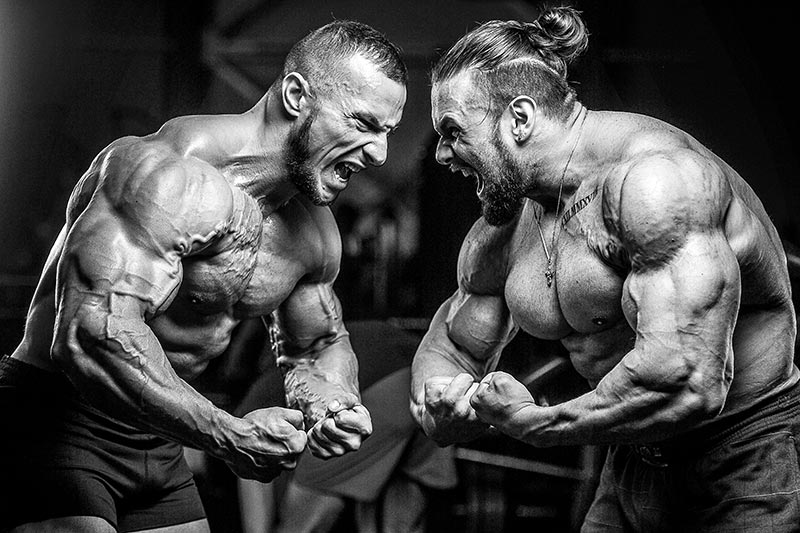 bodybuilding without steroids