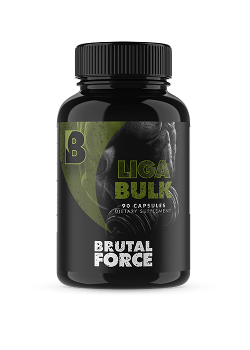 LIGABULK - Brutal Force