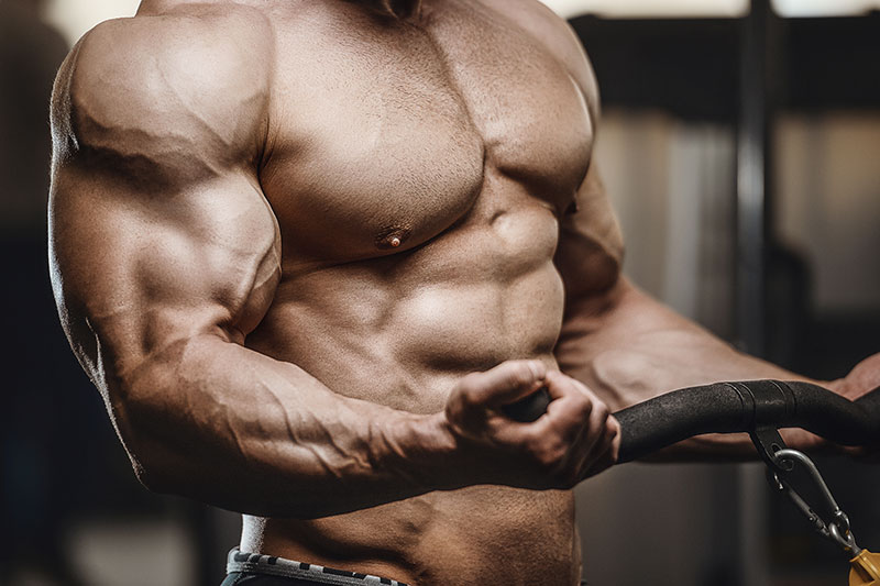 What Can You Do About anabolic androgenic steroids Right Now