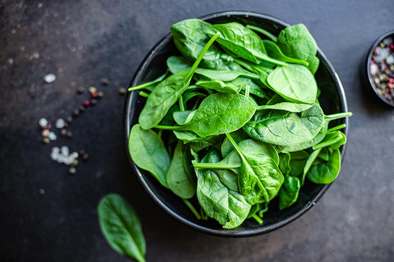 spinach bodybuilding